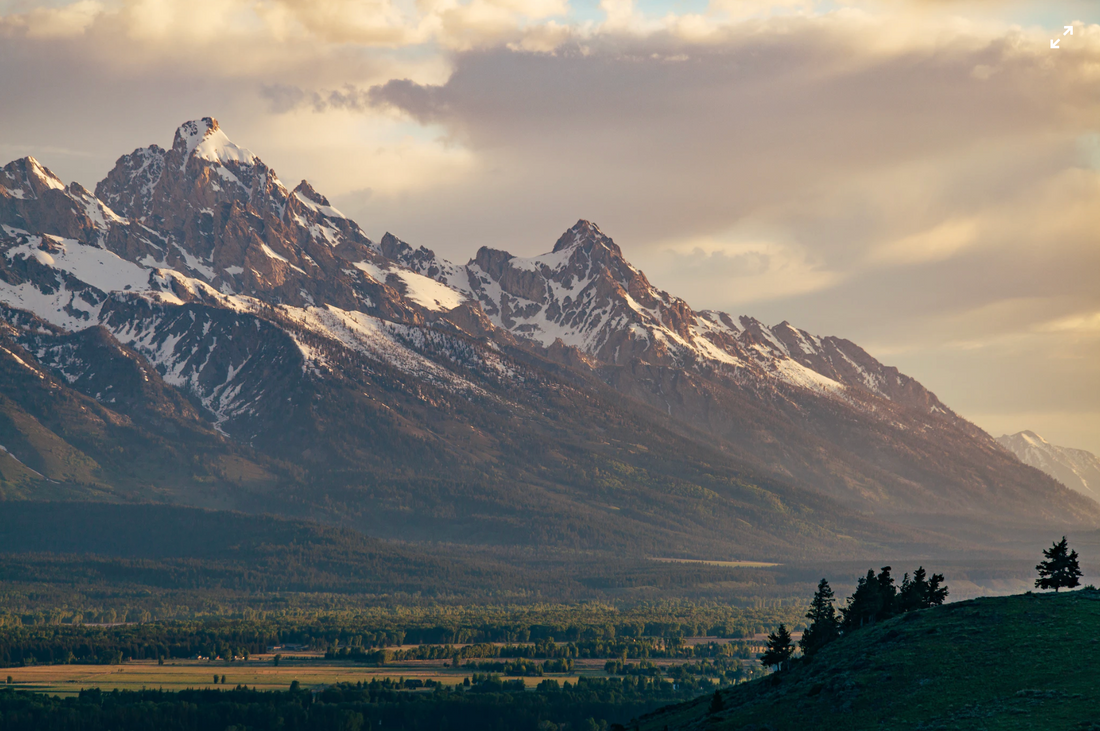 Shopify Planet x Thred: Is Clothing Rental Actually Sustainable?